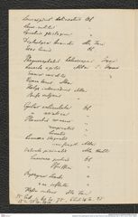 Nachlass Franz Steindachner, Brief von Otto Finsch an Franz Steindachner (06.12.1877), Inv.Nr. 129.01, Seite 2